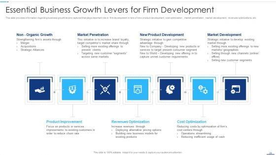 Chief_Strategy_Executive_Playbook_Ppt_PowerPoint_Presentation_Complete_With_Slides_Slide_24.jpg