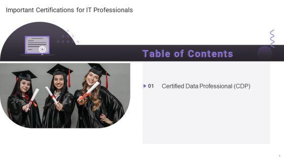 Important_Certifications_For_IT_Professionals_Ppt_PowerPoint_Presentation_Complete_Deck_With_Slides_Slide_3.jpg