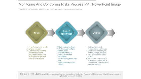 Monitoring_And_Controlling_Risks_Process_Ppt_Powerpoint_Image_1.jpg