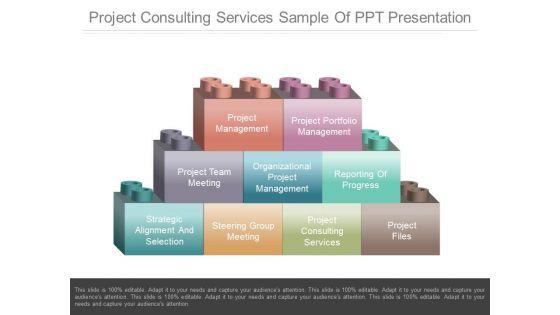 Project_Consulting_Services_Sample_Of_Ppt_Presentation_1.jpg